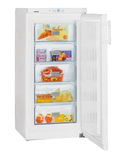 Ремонт морозильных камер Liebherr GNP 1913 в сервисном центре FIX-Liebherr